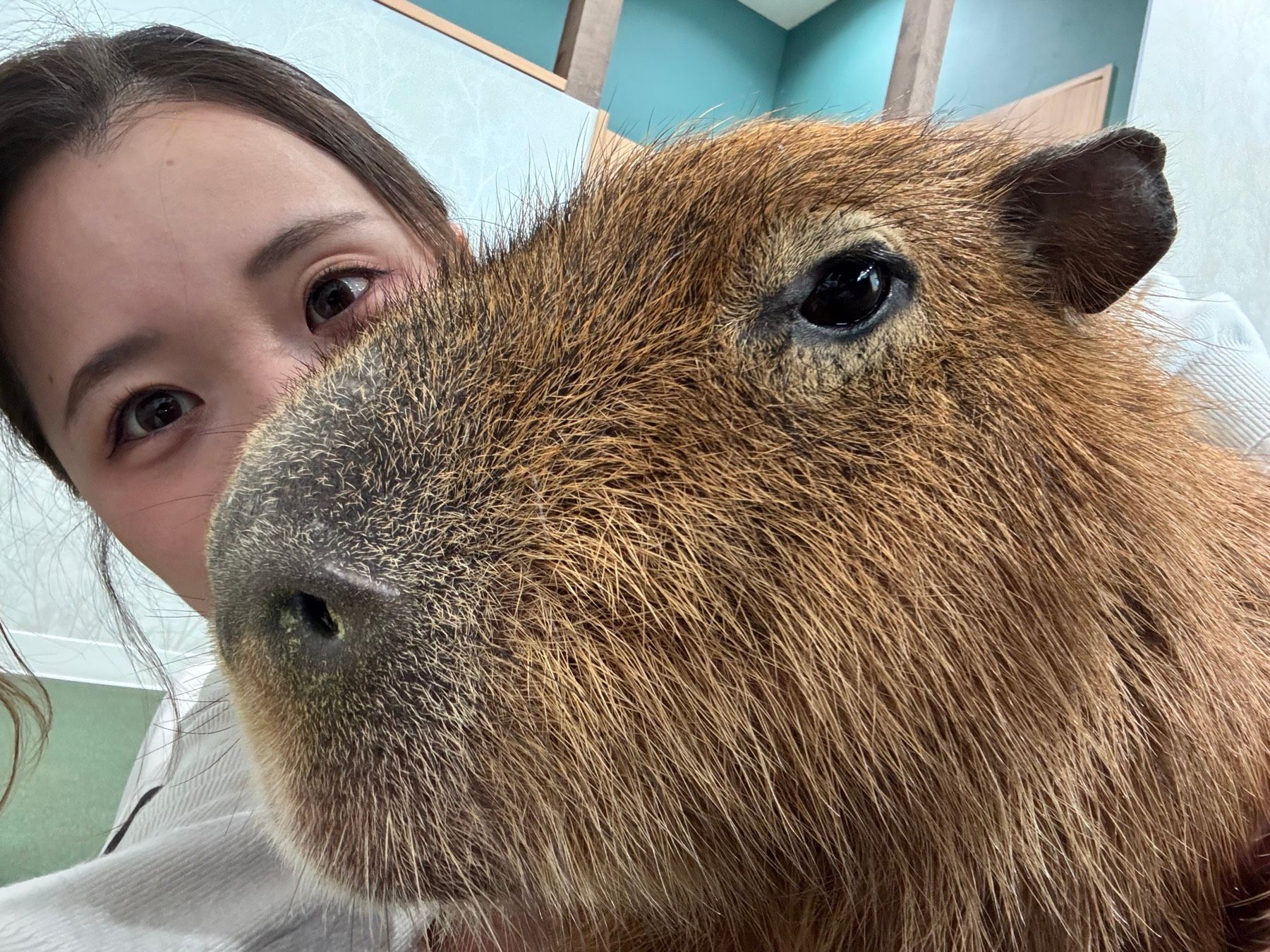 A close-up selfie with a friendly capybara at CAPPINESS