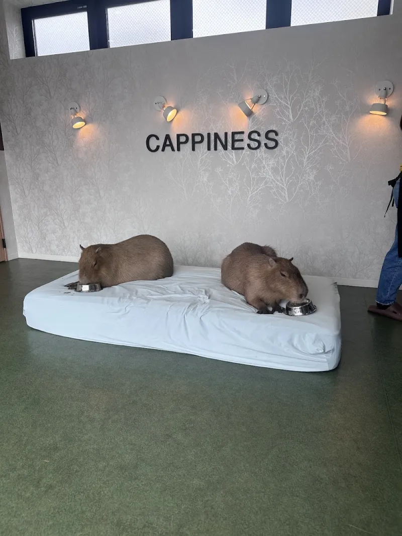 Photo by AV from their Google review