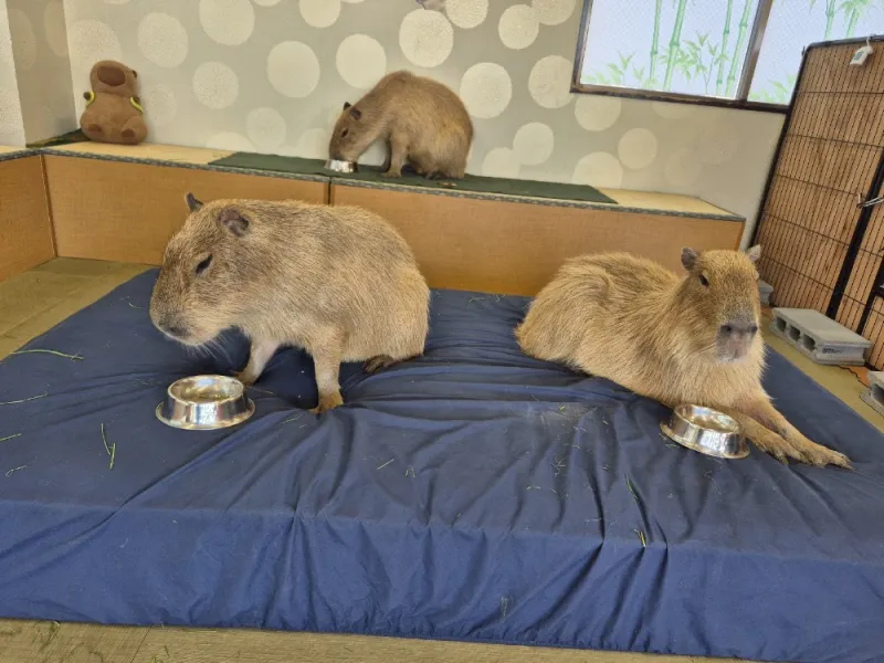 Photo by L. W. from their Google review